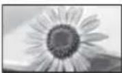 PANASONIC Viera TX-L37EW5 - [Auto] - 1