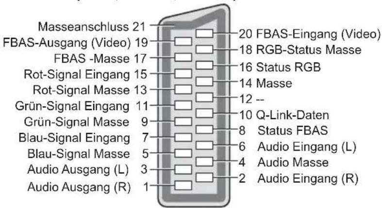 PANASONIC Viera TX-L37EW5 - AV1 SCART-Anschluss (RGB, VIDEO, Q-Link) - 1