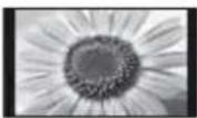 PANASONIC Viera TX-L37EW5 - [14:9] [Zoom1] - 1