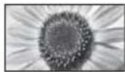 PANASONIC Viera TX-L37EW5 - [4:3] [Zoom3] - 2