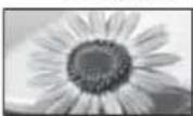 PANASONIC Viera TX-L37EW5 - [16:9] [4:3 Vollformat] - 1
