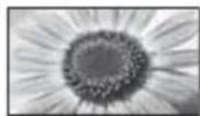 PANASONIC Viera TX-L37EW5 - [Aspekt] [Zoom2] - 2