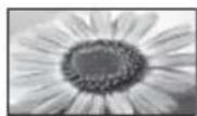 PANASONIC Viera TX-L37EW5 - [16:9] [4:3 Vollformat] - 2