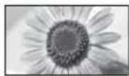 PANASONIC Viera TX-L37EW5 - [14:9] [Zoom1] - 2