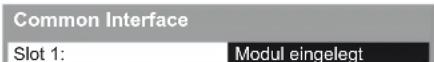 PANASONIC Viera TX-L37EW5 - Rufen Sie Common Interface auf und befolgen Sie die Anweisungen auf dem Bildschirm - 1