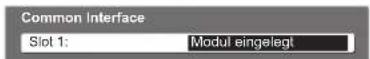 PANASONIC Viera TX-L32GS11 - Rufen Sie „Common Interface“ auf. - 1