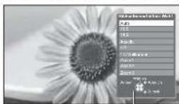 PANASONIC Viera TX-L32GF22 - Manuelles Umschalten des Bildseitenverhältnisses - 2