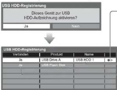 PANASONIC Viera TX-L32GF22 - Bestätigung des USB-Festplattennamens - 5