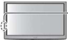 PANASONIC Viera TX-L32GF22 - Media Player starten - 1