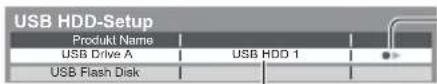 PANASONIC Viera TX-L32ETW5W - Bestätigung, um die USB-Festplatte für die Aufzeichnung zu aktivieren - 3