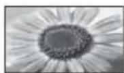 PANASONIC Viera TX-L32ETW5W - [16:9] [4:3 Vollformat] - 2