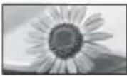 PANASONIC Viera TX-L32ETW5W - [Auto] - 1