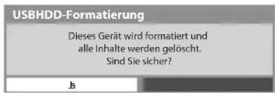 PANASONIC Viera TX-L32DT30Y - Vorsichtsmaßnahmen und Hinweise für die Verwendung von USB-Festplatten - 3