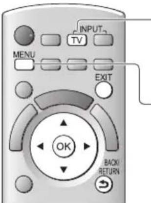 PANASONIC Viera TX-L32DT30Y - DVB-S-Sender - 1