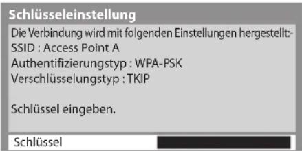 PANASONIC Viera TX-L32DT30Y - Rufen Sie den Eingabemodus für den Verschlüsselungscode auf - 1