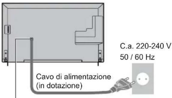 PANASONIC Viera TX-55CXW704 - Collegamenti di base - 1