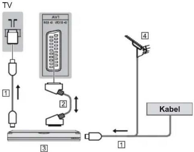 PANASONIC Viera TX-55CXW704 - AV-Geräte - 1