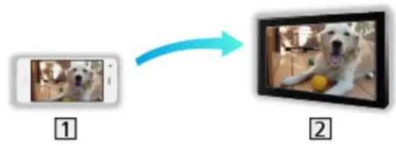 PANASONIC TX-49FXN688 - Verwendung - 1