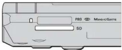 PRO MAGICGATE SD