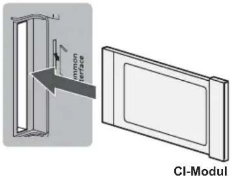 PANASONIC TX-50GXW704 - [Common Interface] im Setup-Menü - 1