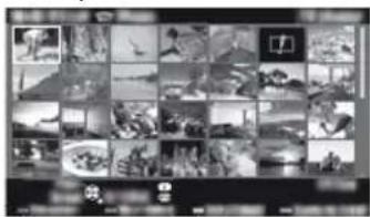 PANASONIC TX-32ESF607 - Viene visualizzata la vista in miniatura - 1