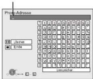 PANASONIC DMP-BD80EG - Einstellen des Proxy-Servers - 1