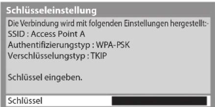 PANASONIC Viera TX-P50GT30J - Rufen Sie den Eingabemodus für den Verschlüsselungscode auf - 1