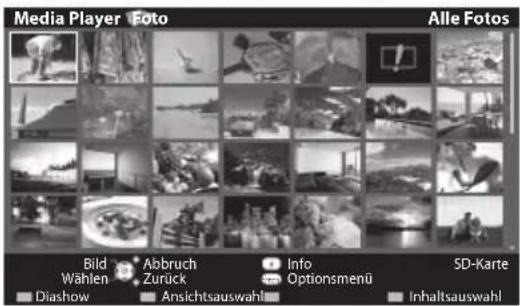PANASONIC Viera TX-P50C3J - Foto-Modus - 2