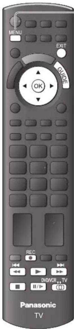PANASONIC Viera TX-P46G30J - Aufnahme von Fernsehprogrammen auf die USB-Festplatte - 1