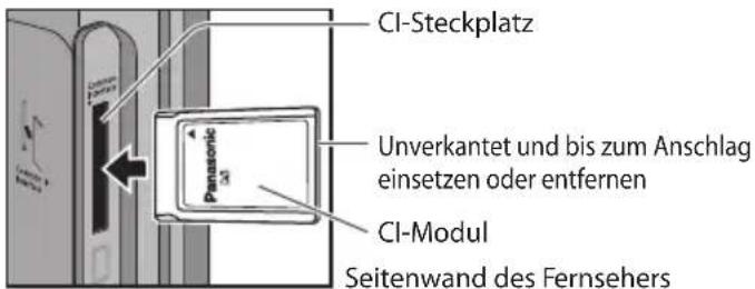 PANASONIC Viera TX-P46G30J - Vorsicht - 1