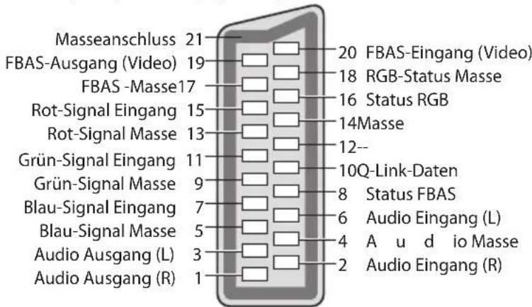PANASONIC Viera TX-P46G30J - AV1 SCART-Anschluss (RGB, VIDEO, Q-Link) - 1