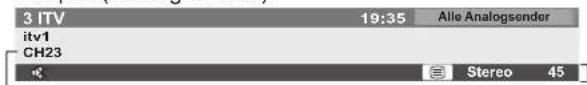 PANASONIC Viera TX-P42GN13 - Anzeigen des Informationsbanners - 3