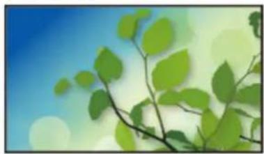 PANASONIC Viera TX-42ASM655 - Verwendung - 4