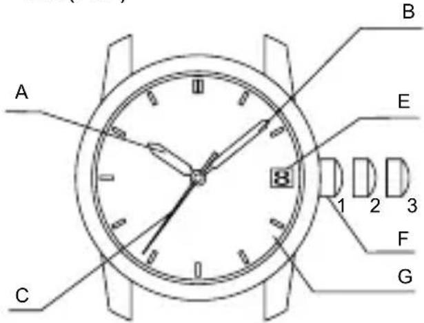 ORIENT Sports RA-AA0A01S - ◆ PARTES COMPONENTES Y SUS FUNCIONES - 2