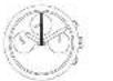 NIXON Exclusives A1138 - 16