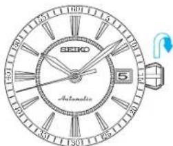 SEIKO Prospex SRPC93K1 - VERWENDUNG - 1