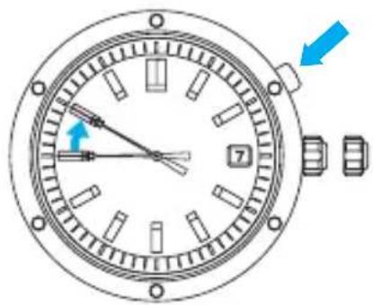 SEIKO Premier SNQ159P1 - Monat - 1