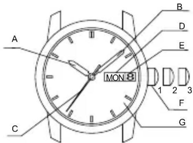 ORIENT Classic RA-AG0019B - ◆ PARTES COMPONENTES Y SUS FUNCIONES - 1