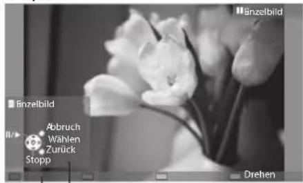 PANASONIC Viera TX-P46GW30 - FürFotodateien - 1