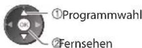 PANASONIC Viera TX-P46GW30 - ■ Wahl eines Senders mit Hilfe des Informationsbanners (S. 19) - 2