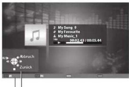 PANASONIC Viera TX-P46GW30 - Für Musikdateien - 1