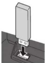 PANASONIC Viera TX-P42VT30J - USB-Flash-Speicher - 1