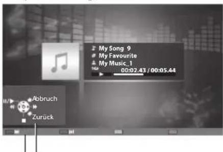 PANASONIC Viera TX-P42VT30J - Für Musikdateien - 1