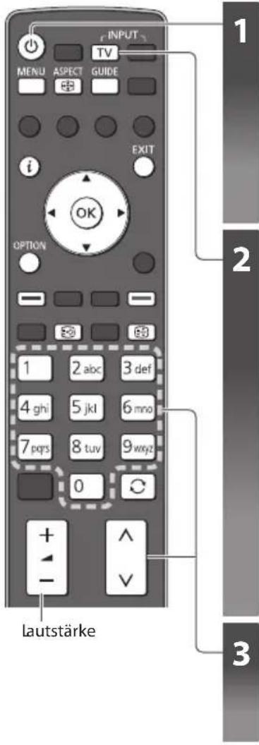 PANASONIC Viera TX-P42VT30J - BetrachtenvonFernsehprogrammen - 1