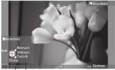 PANASONIC Viera TX-P42VT30J - FürFotodateien - 1