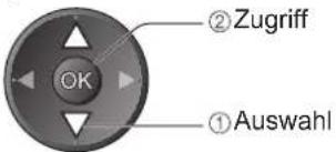 PANASONIC Viera TX-P42S20E - Aktualisieren der Software des Fernsehers - 4