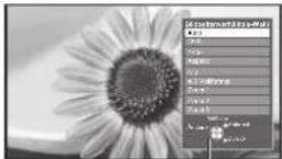 PANASONIC Viera TX-P42S20E - Manuelles Umschalten des Bildseitenverhältnisses - 2