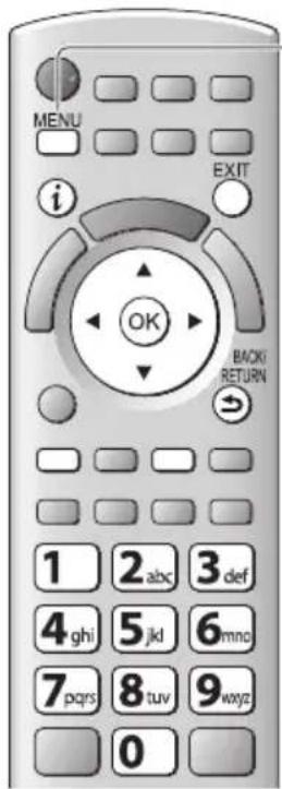 PANASONIC Viera TX-P42GTF32 - Netzwerk-Setup - 1
