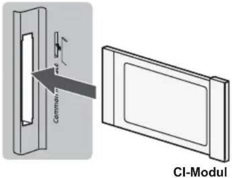 PANASONIC Viera TX-55EXX689 - ■ Common Interface - 1