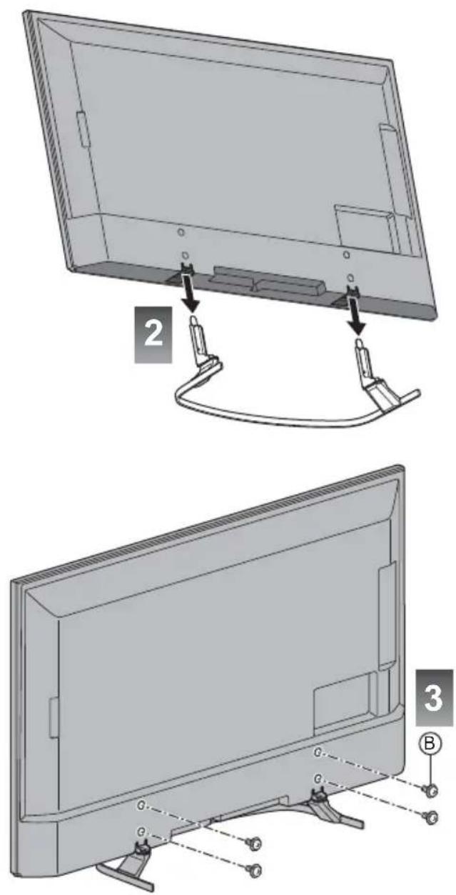 PANASONIC Viera TX-55EXX689 - ■ Zusammenbau des Standfußes - 8